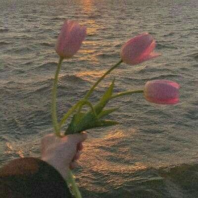 开云集团手机app下载