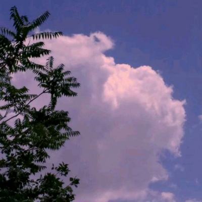 开云集团手机app下载