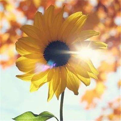 银河国际官网app下载下载手机版